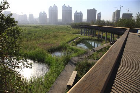 青神溼地公園：自然與人文的交融之處