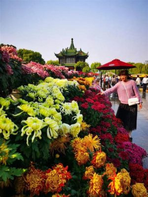 西湖菊花展多久：时光流转中的秋日盛景